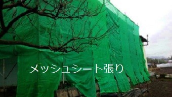 前橋市高花台、庭が広い和風なお宅でメッシュシート張り