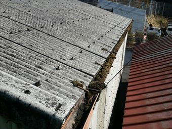 高崎市榛名町H様邸雨樋詰まり