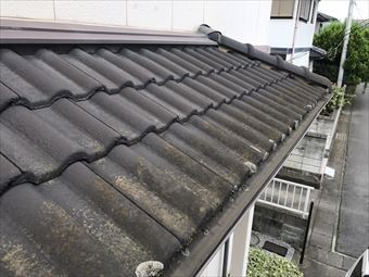 太田市飯田町下屋根のコケ