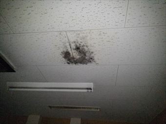 前橋市大胡町店舗天井に雨シミとカビ