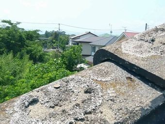 前橋市富士見町袖瓦コケのアップ