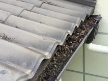 北軽井沢別荘 雨樋清掃前