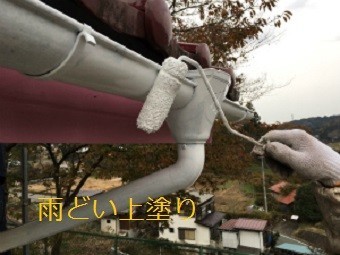 吾妻郡高山村T様邸雨どい上塗り