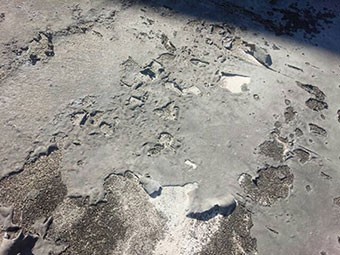 群馬県高崎市上佐野町K様 ボロボロの陸屋根防水