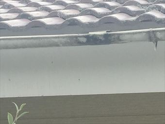 伊勢崎市市場町F様雨樋劣化