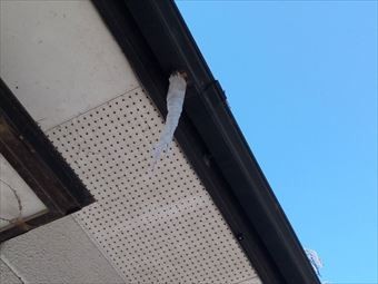 前橋市富士見町色あせした軒天