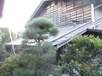 甘楽町N様西側下屋根