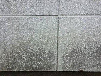 群馬 外壁屋根塗装 現場確認 外壁汚れ
