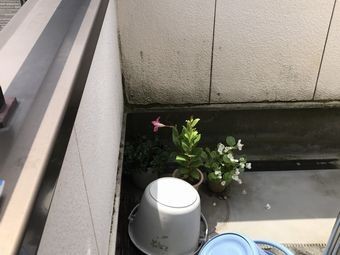 太田市飯田町ベランダ内壁汚れ