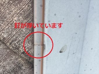 沼田市利根町K様棟板金のクギ浮き