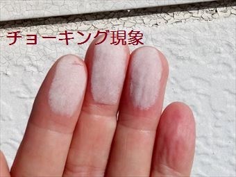 前橋市片貝町外壁調査