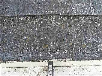 前橋市田口町コロニアル屋根に苔