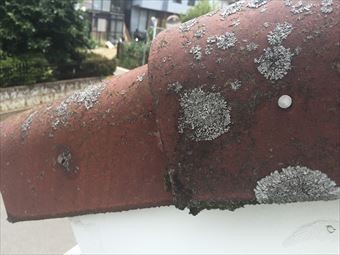 伊勢崎市市場町F様瓦の汚れ