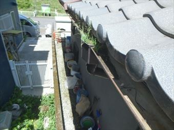 渋川市赤城町雨どいのゴミ