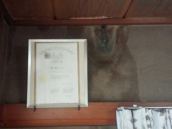 前橋市三俣町T様室内の雨染み