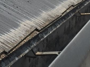 前橋市鼻毛石町S様邸雨樋カビ