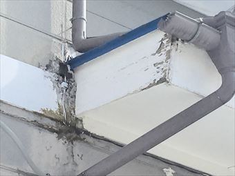 草津町Y様邸雨樋の破損状況
