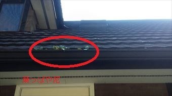 高崎市倉賀野町N様邸樋つまり