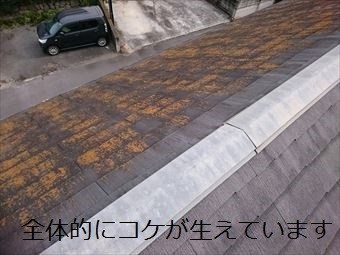 前橋市荒子町M様邸屋根のコケ