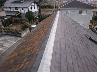 前橋市富士見町K様屋根の北側コケ