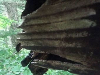 吾妻郡嬬恋村K様邸破風板破損
