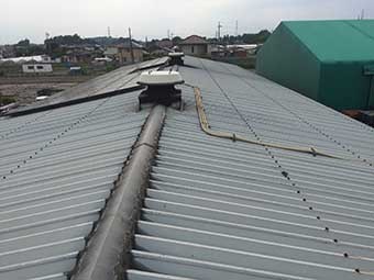 伊勢崎市赤堀町D会社屋根全体