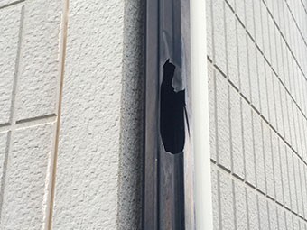 雨どい破損