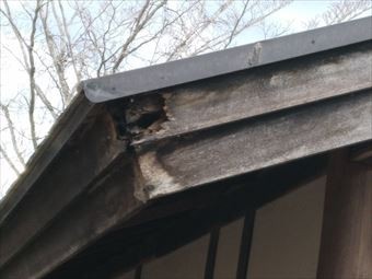 吾妻郡長野原町屋根一部破損