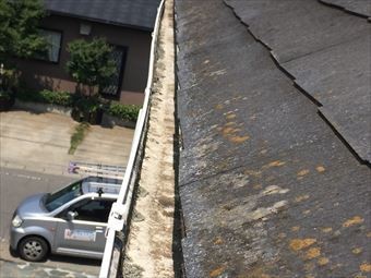 伊勢崎市西久保町N様屋根材にコケ