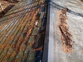 吾妻郡東吾妻町別荘屋根積もった枯葉と取れた棟板金