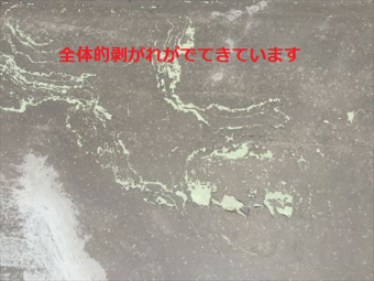 高崎市南大類町I様邸陸屋根防水の剥がれ