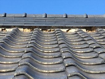 桐生市境野町Y様邸漆喰工事棟
