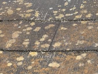 吾妻郡草津町S様邸雨樋にドロ