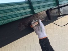 前橋市岩上町T様 破風板の上塗り