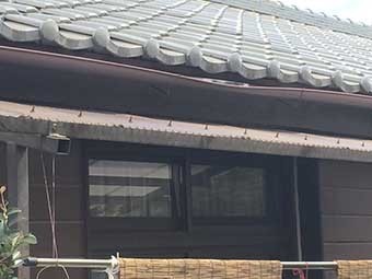 高崎市金古町S様邸漆喰工事3