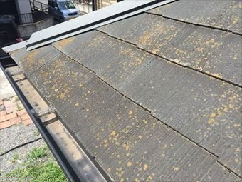 前橋市茂木町A様邸屋根のコケ