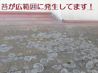 前橋市苔の生えたスレート屋根