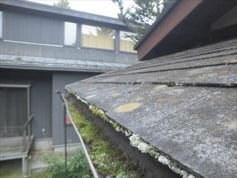 前橋市富士見町別荘雨どいに苔