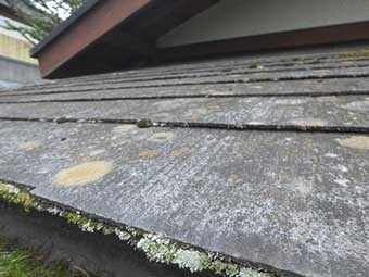 群馬県長野原町 別荘 塗装見積り