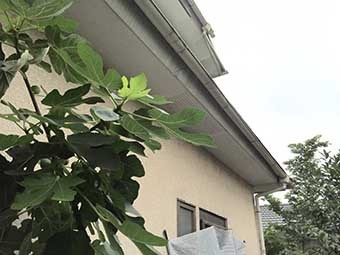 玉村町F様邸軒天補修3