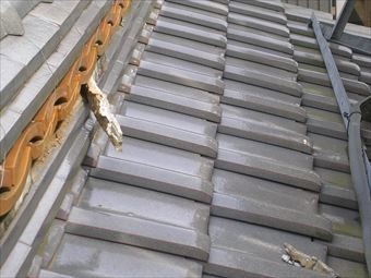 吾妻郡中之条町A様屋根瓦漆喰のはがれ