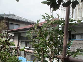 渋川市三原田Y様邸下屋根