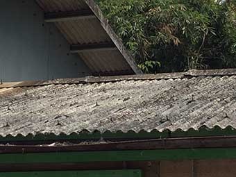 屋根