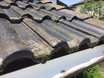 佐波郡玉村町G様邸瓦のコケ