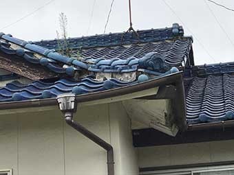 瓦 漆喰 調査