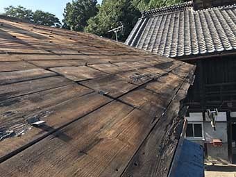 物置屋根トタンの下