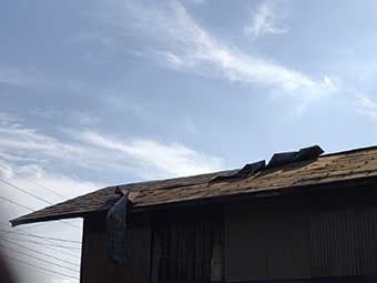物置屋根全体