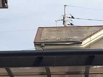 高崎市井野町T様屋根アップ