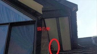 高崎市倉賀野町N様邸蜂の巣