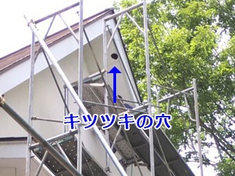 吾妻郡嬬恋村ペンション 軒天 キツツキの穴